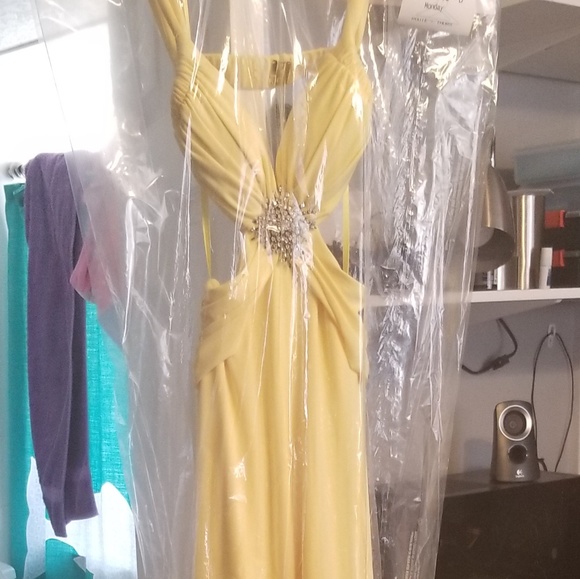 Like new Cachè $349 Prom/ Formal Dress (2) - Picture 7 of 7